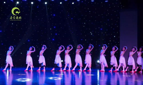 春苗舞蹈藝術(shù)節(jié)首屆基本功展示今天下午1 00在婺城區(qū)文化館拉開(kāi)序幕